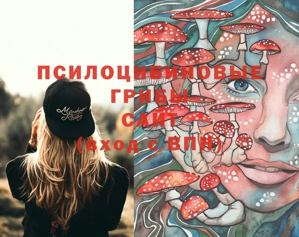 прущая мука Арсеньев